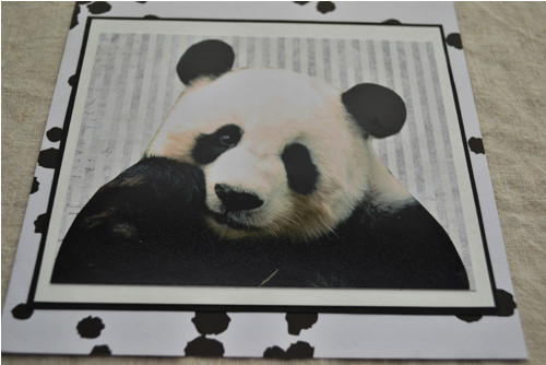 Panda / váš osobní diář 2017 — foto 2