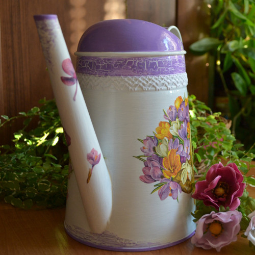 Konvička jarní s krokusy — foto 2