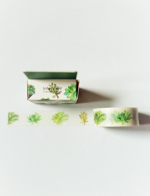 Washi páska - Sukulenty — foto 2
