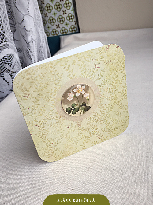 Šťavel kyselý - Luxury card — foto 2