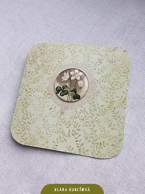Šťavel kyselý - Luxury card — foto 3