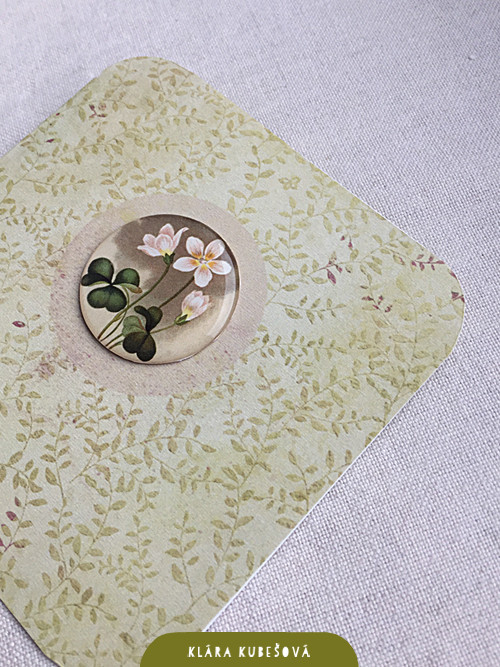 Šťavel kyselý - Luxury card — foto 4