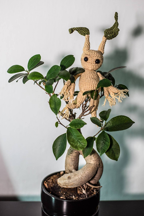 Háčkovaná mandragora — foto 2