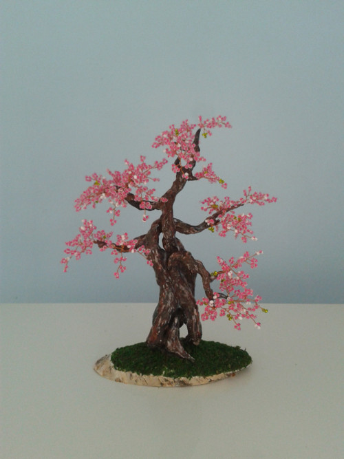 Sakura — foto 6