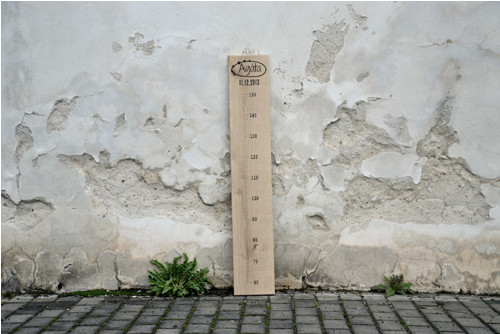 METR — foto 2