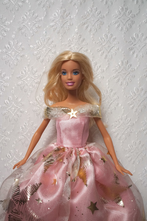 Růžová princezna — foto 2