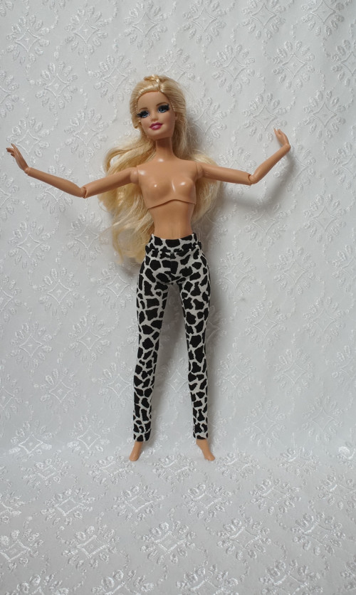 Leginy — foto 2
