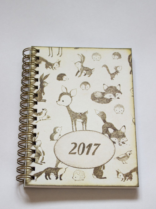 Kam se podíváš II - DIÁŘ 2017 — foto 2