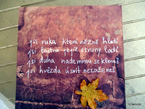 Báseň na zdi — foto 4