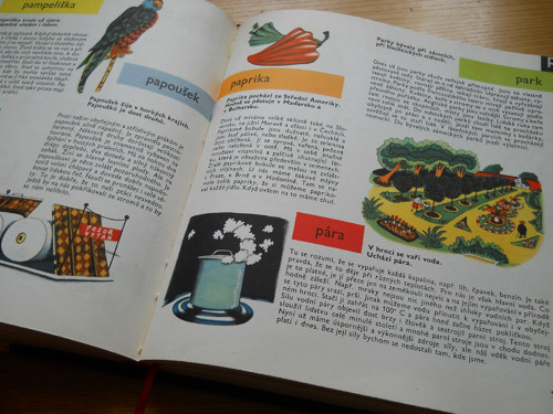 Dětská encyklopedie — foto 3