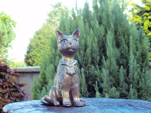 Egyptská kočka — foto 6