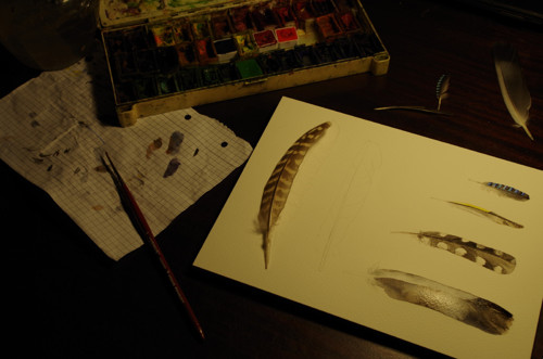 Peříčka. Akvarel 18x24cm — foto 2