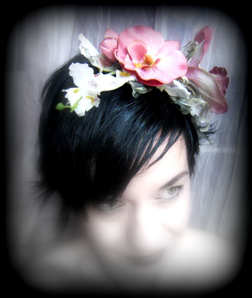Orchidee — foto 2