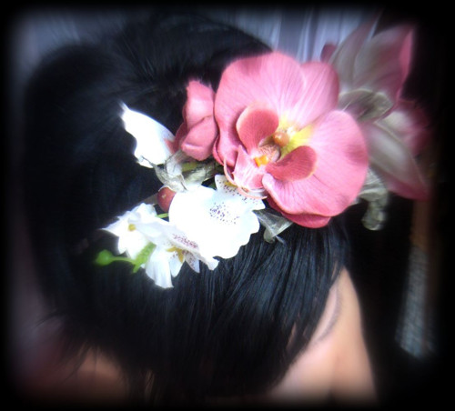 Orchidee — foto 3