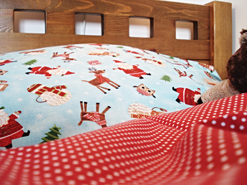 Santa a spol. — foto 5