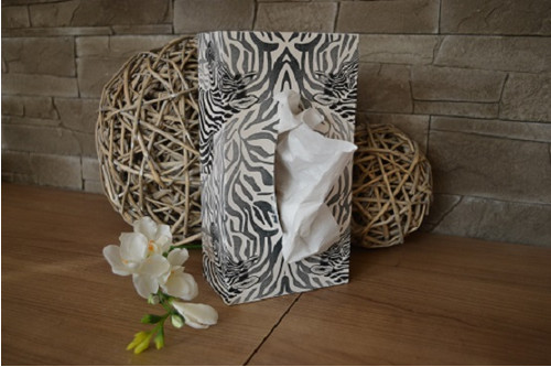 Dřevěná krabička na kapesníky - box zebra — foto 2