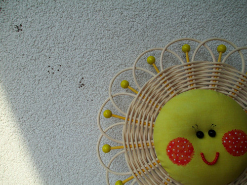 Sluníčko přírodní 1 — foto 5