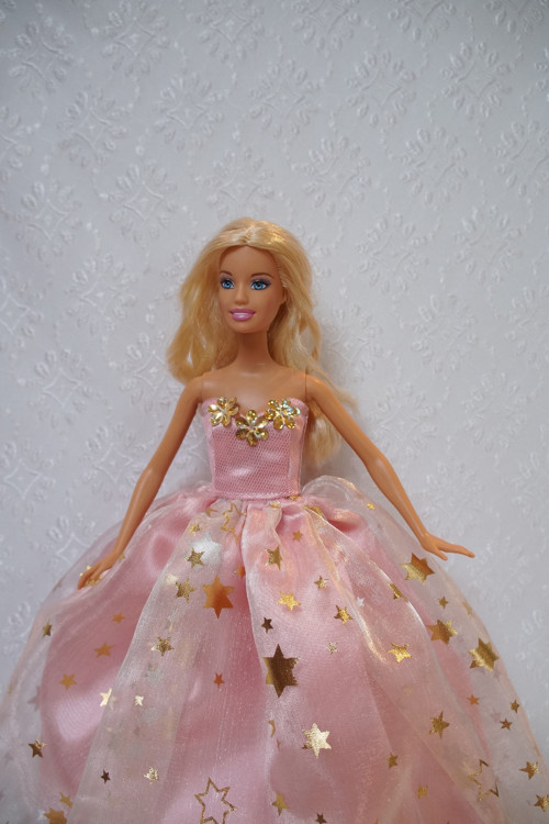 Růžová princezna — foto 3