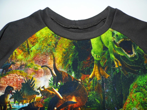 Tričko "Svět dinosaurů " — foto 4