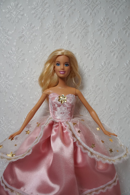Růžová princezna — foto 2