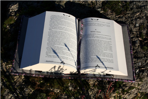 Sassenach - růžová vážka — foto 3