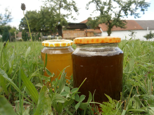 Med tmavý lesní — foto 2