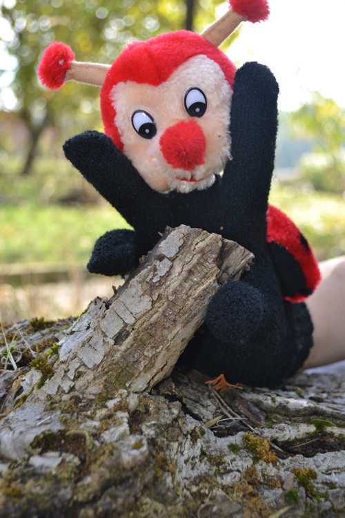 Slečna Beruška — foto 2