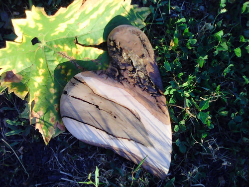 Garganel — foto 2