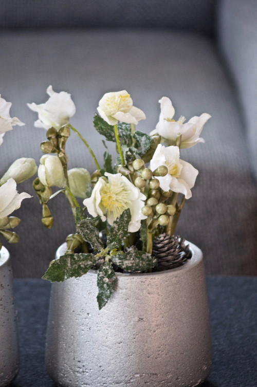 Dekorace SnowyHelleborus — foto 2