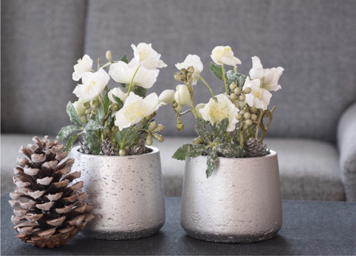 Dekorace SnowyHelleborus — foto 3