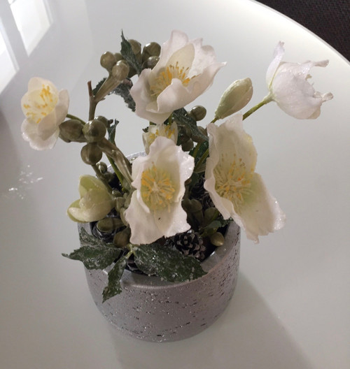 Dekorace SnowyHelleborus — foto 4