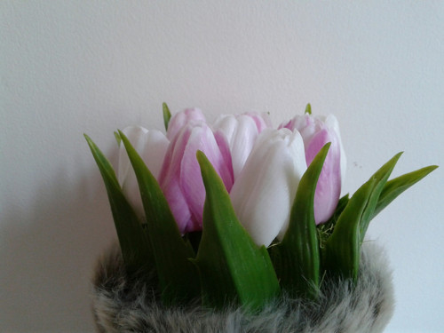 Tulipány v kožichu — foto 2