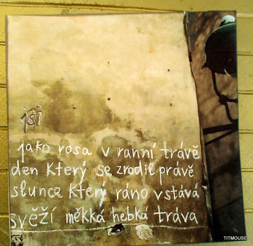 Báseň na zdi II. — foto 2