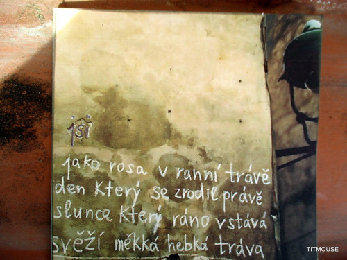 Báseň na zdi II. — foto 3