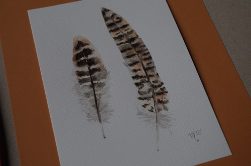 Peříčka č.3. Akvarel. — foto 2