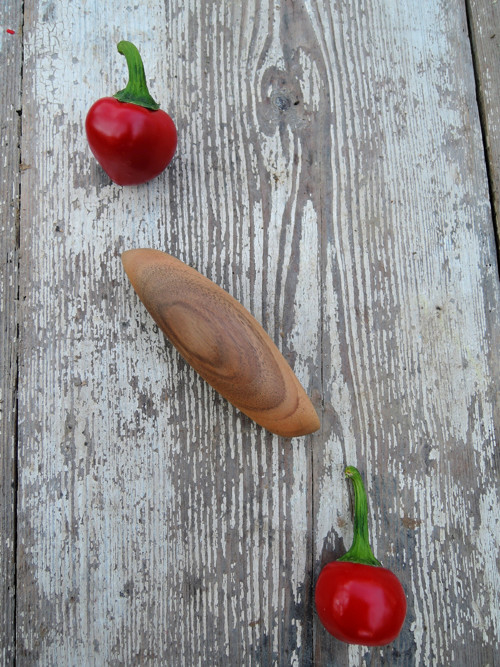 S chutí Indie — foto 2