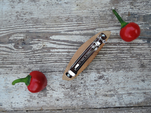 S chutí Indie — foto 3