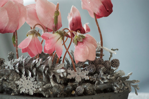 Dekorace GreyCyclamen — foto 2