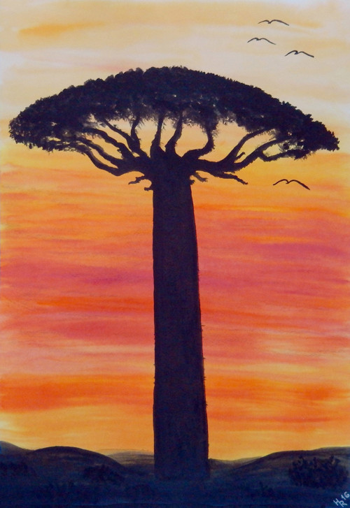 Baobab — foto 2