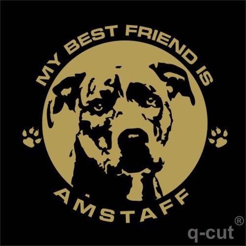 Tričko Amstaff — foto 2