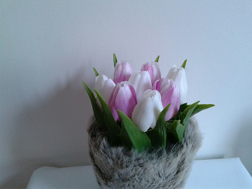 Tulipány v kožichu — foto 3