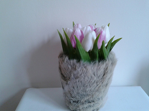Tulipány v kožichu — foto 4
