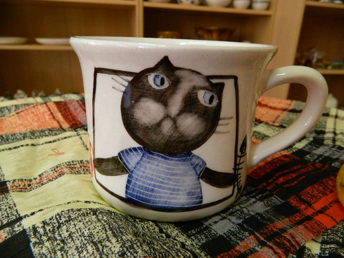 Kocour Arwin — foto 2