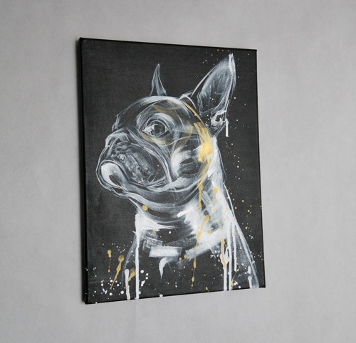 Frenchie gold....obraz — foto 2