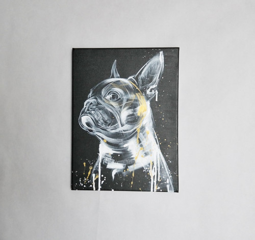 Frenchie gold....obraz — foto 3