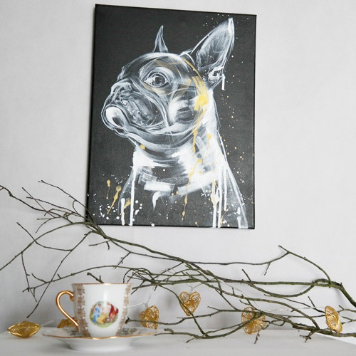 Frenchie gold....obraz — foto 4