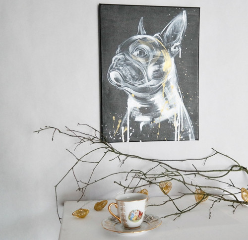 Frenchie gold....obraz — foto 5