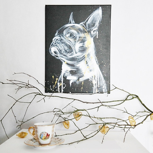 Frenchie gold....obraz — foto 6