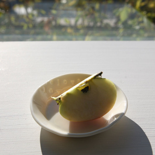 Prosvítavý mini (porcelán) — foto 2
