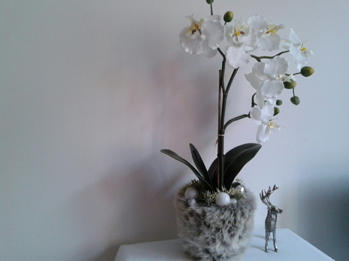 Vánoční orchidej v kožichu (49cm) — foto 2